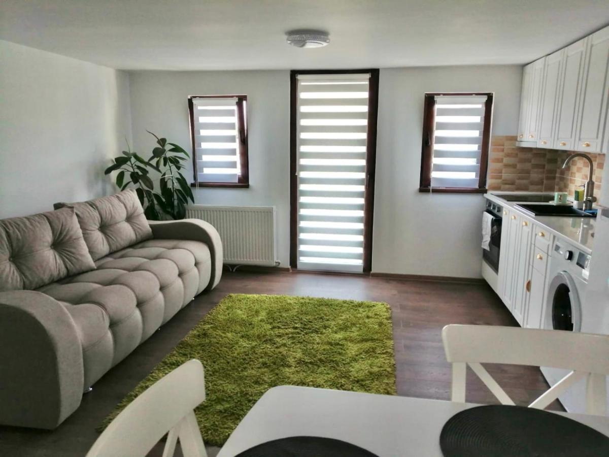 Lovely Loft Cluj-Napoca Buitenkant foto